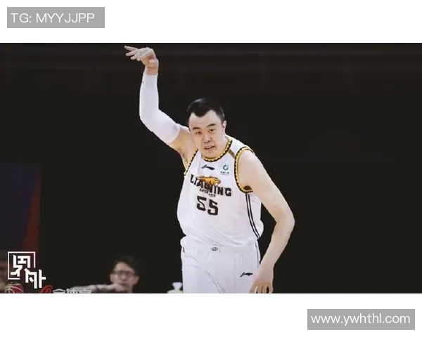 韩德君：从CBA巨星到国家队核心的成长之路与未来展望