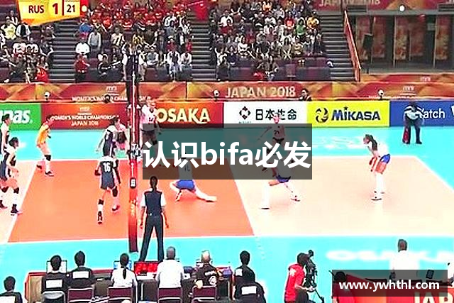 认识bifa必发